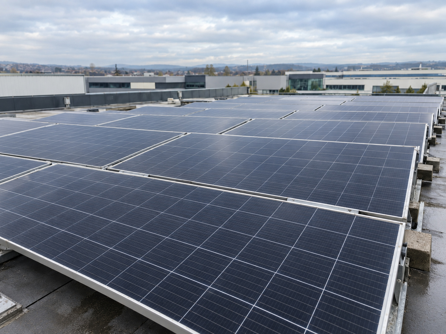 After Commercial Solar Panel Cleaning