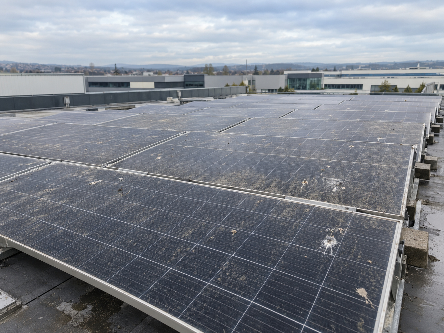 Before Commercial Solar Panel Cleaning