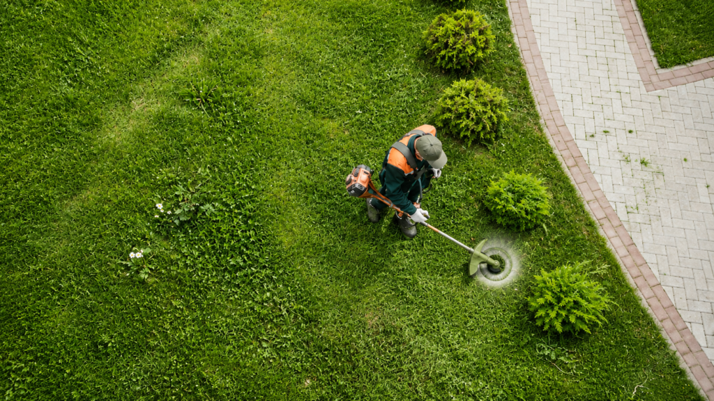 Garden Maintenance Services Ireland
