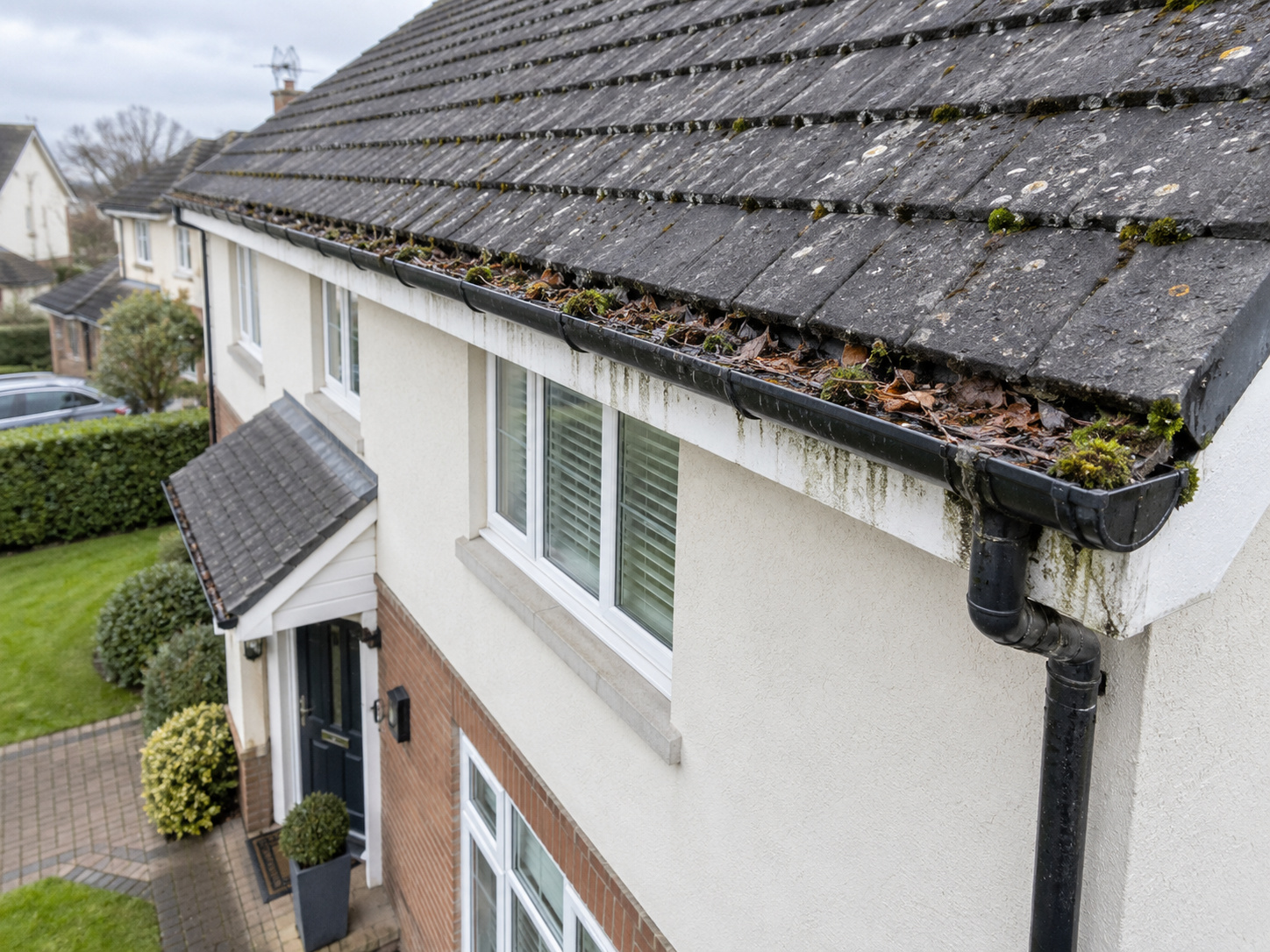 Gutter cleaning before